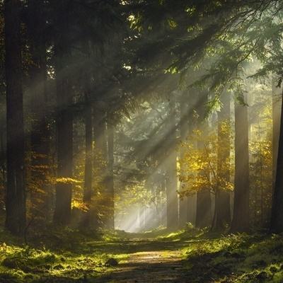 jinnian金年会体育在线入口