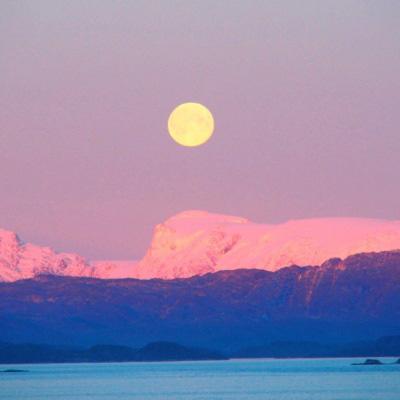 jinnian金年会体育在线入口截图