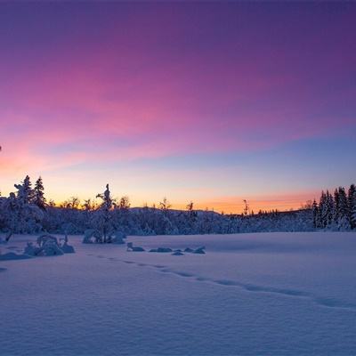 英雄联盟外围平台网址下载手机版